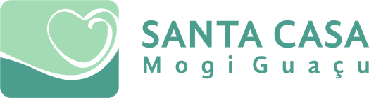 Santa Casa Logo imagem